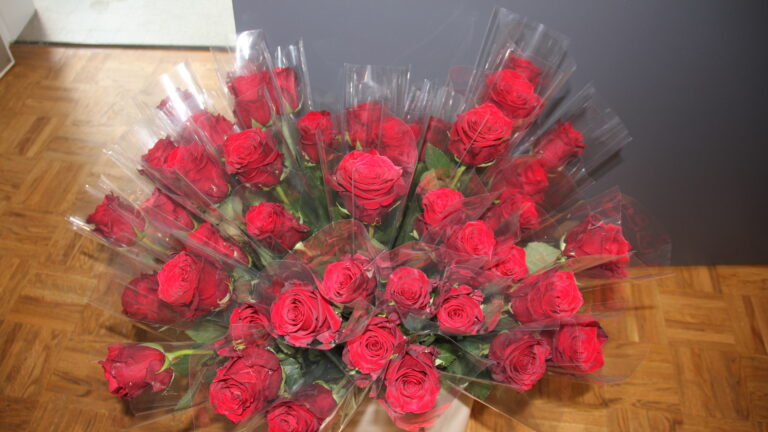 Pferdeberufe 2025 Rosen