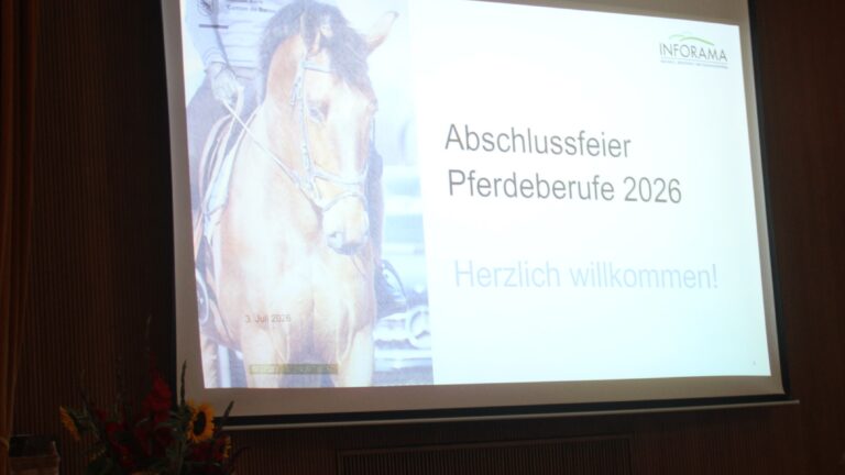 Schlussfeier Pferdeberufe