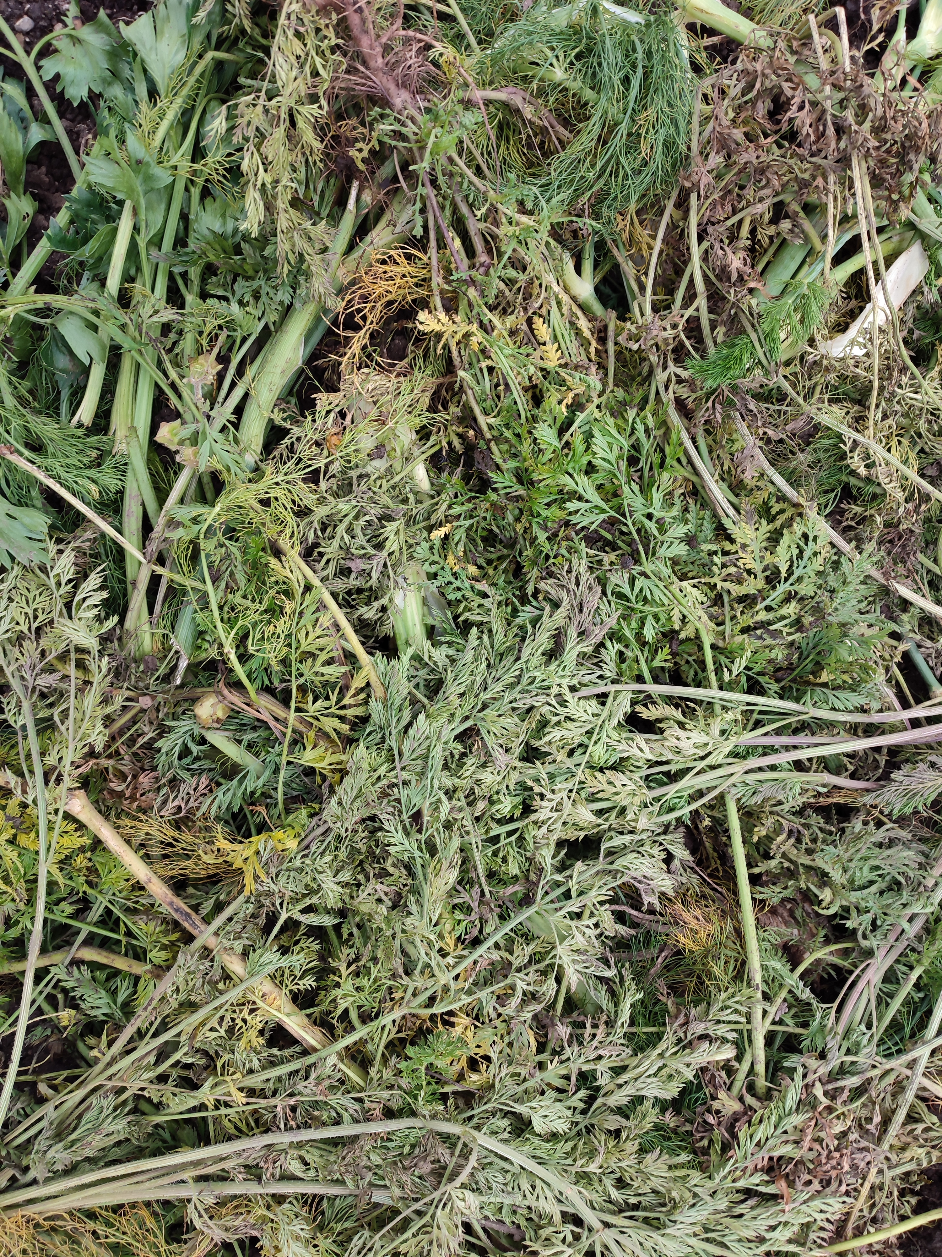 Boden abdecken mit Ruestabfaellen