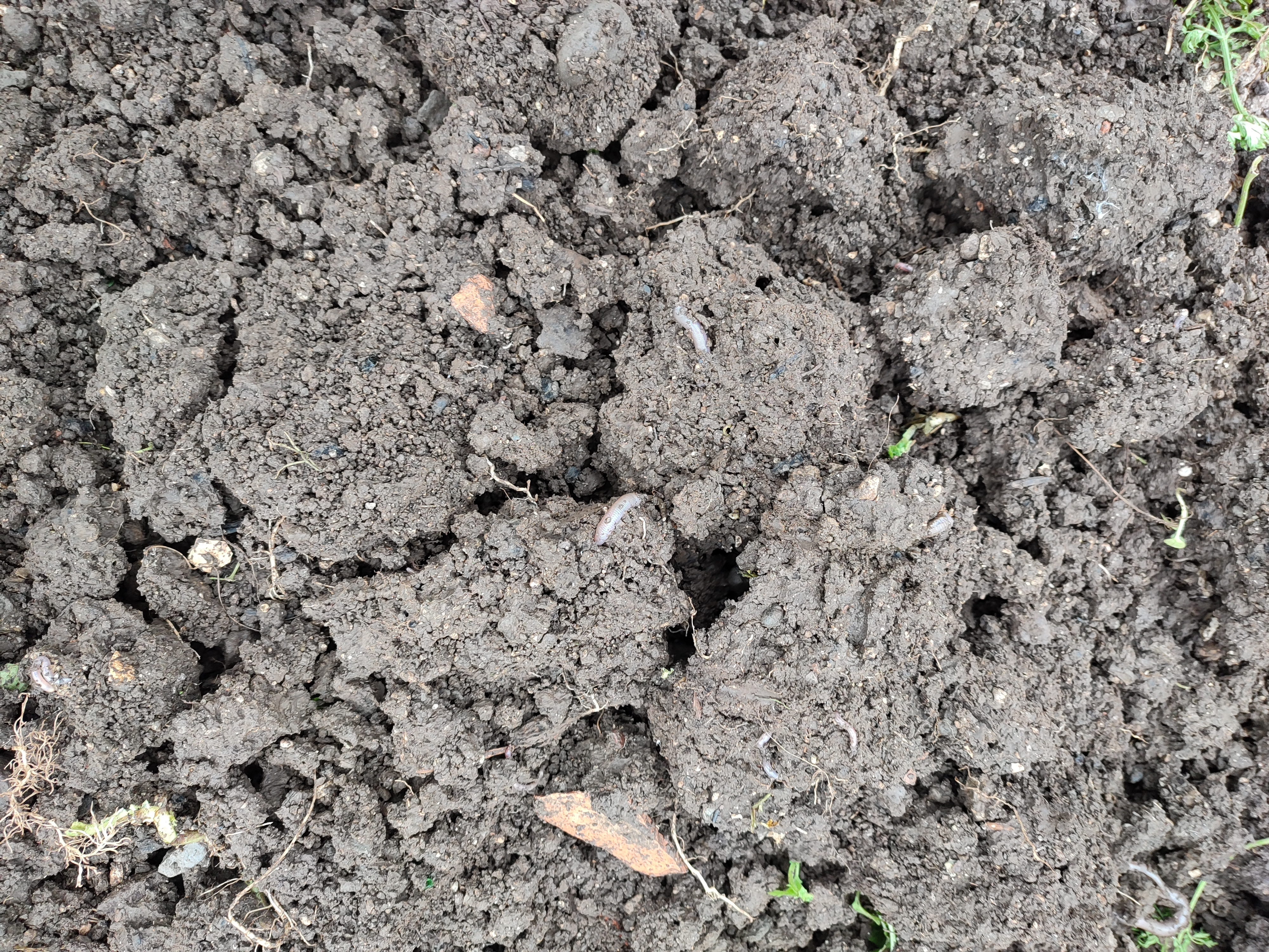 Boden grobschollig umgegraben