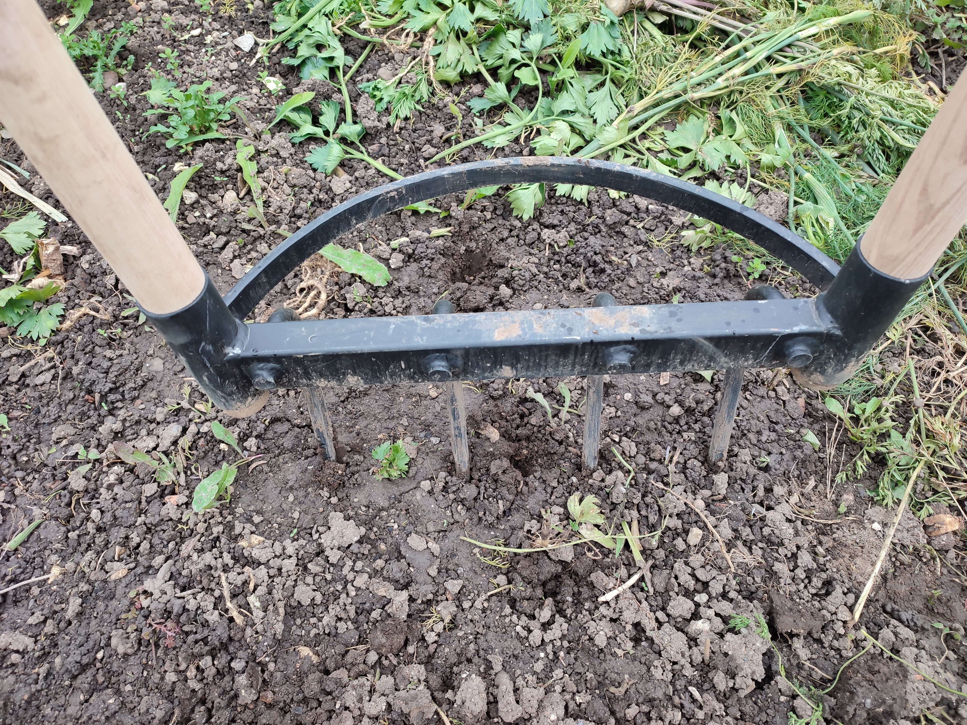 Boden lockern mit Doppelgrabgabel