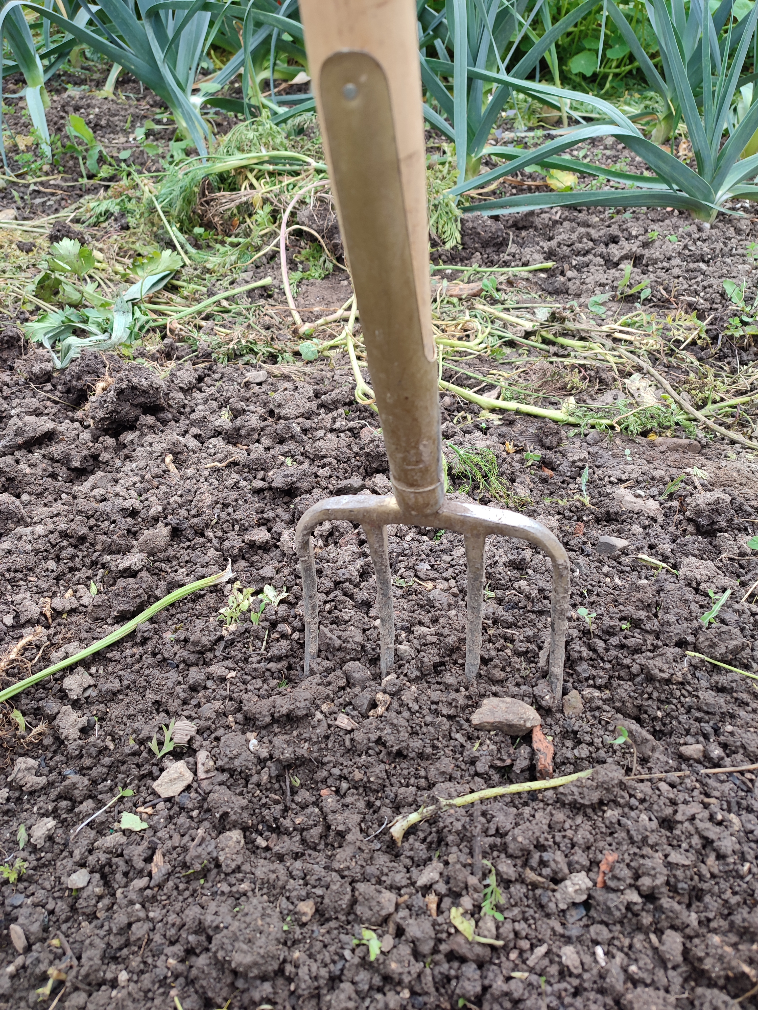 Boden lockern mit Mistgabel