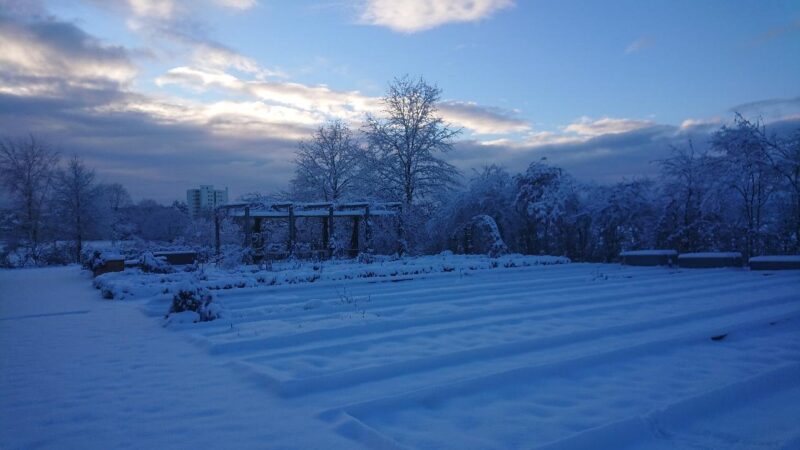 Der Schulgarten im Winterkleid