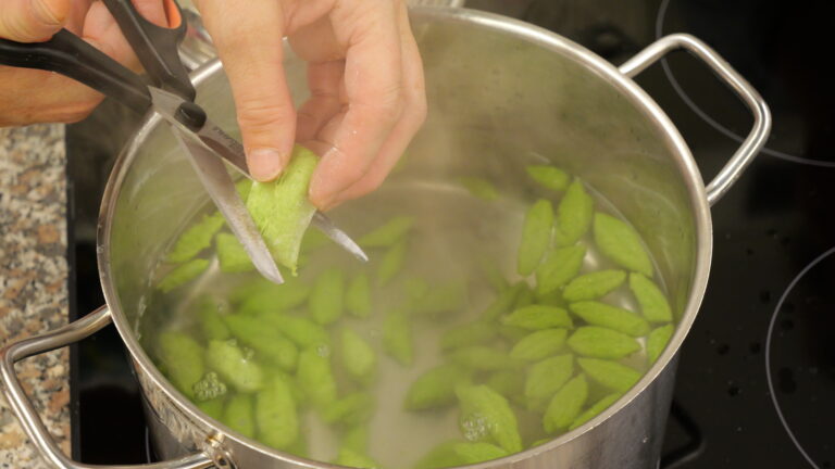 Scherennudeln Erbsen