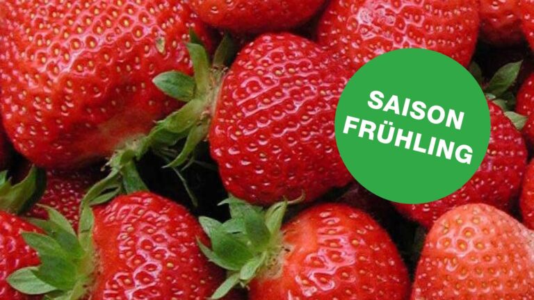 Erdbeere Florenc Fruehling