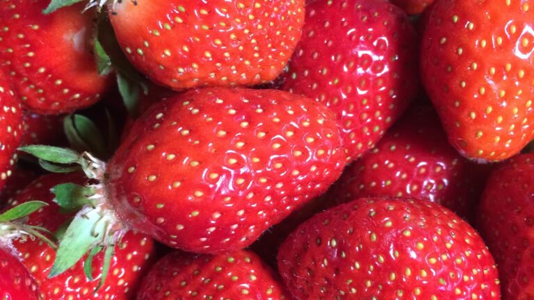 Erdbeeren GAES 2020