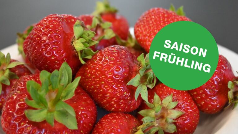 Erdbeermousse Fruehling