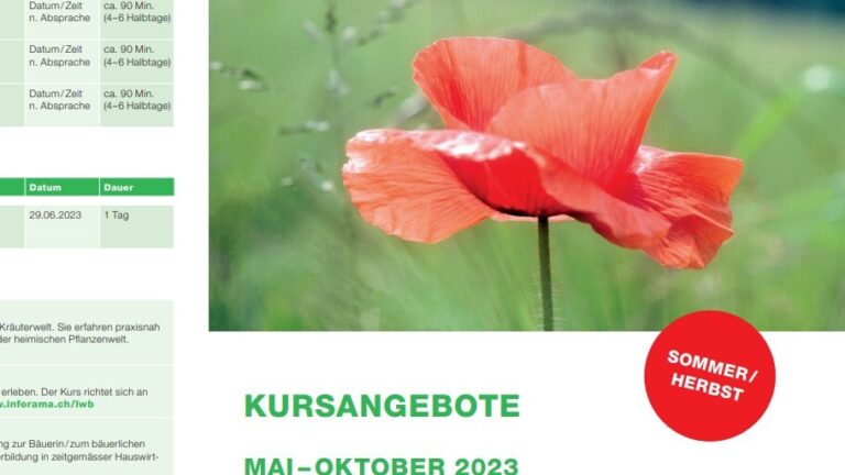 Kursprogramm Mai Oktober 23