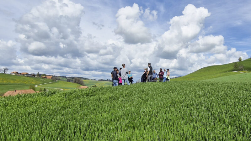 Gruppe Landschaft Getreidefeld Spatenprobe Niedermuhlern wibe 29 04 2023 1