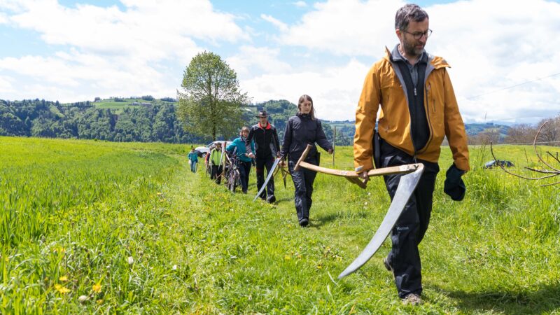 LWB Menschen unterwegs mit Sense zoue IN 11 05 2019