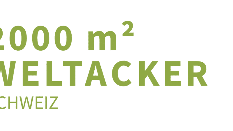 Logo 2000m2 Schweiz green