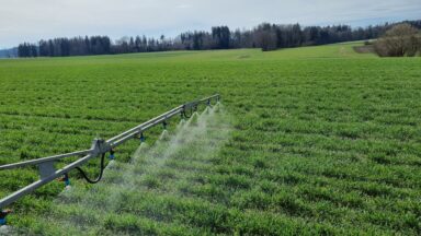 Feldspritze Weizen Wohlen lean 21 03 2023