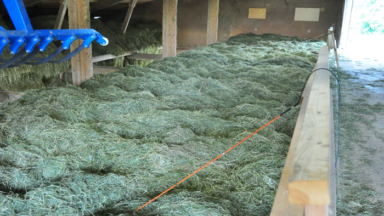 Bild Heustock Rechte bei Grangeneuve