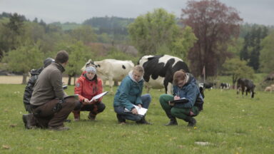 HF Felduebungen Futterbau Personengruppe im Feld vor Kuehen ulse 11 05 2021